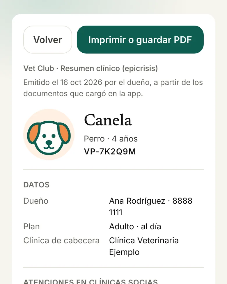 Resumen clínico imprimible de Canela
